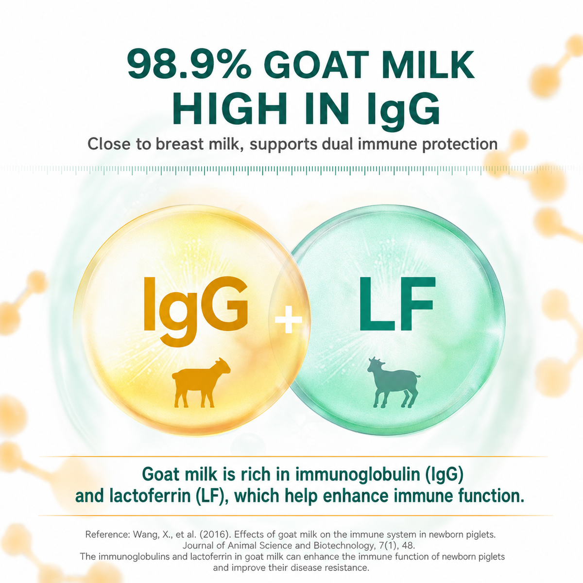 DR.YANGEES Lactose-Free Goat Milk Powder for Cats – 98.9% Whole Goat Milk, Probiotics, 150g