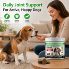 Glucosamine Joint Supplement Soft Chews for Dogs – MSM + Chondroitin for Cartilage, Mobility & Connective Tissue Support – 120 Count