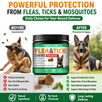 Daily Skin, Coat & Digestive Support Soft Chews for Dogs – Flaxseed, Brewer’s Yeast & Neem – Chicken Flavor, 120 Count