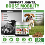 Glucosamine Joint Supplement Soft Chews for Dogs – MSM + Chondroitin for Cartilage, Mobility & Connective Tissue Support – 120 Count