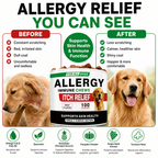 Seasonal Skin & Immune Support Chews for Dogs – Omega 3-6-9, Quercetin, Bromelain, Pumpkin & Turmeric – Beef Flavor, 100 Count