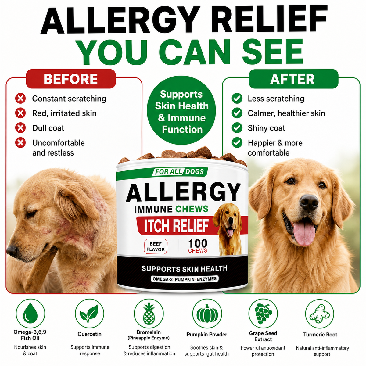 Seasonal Skin & Immune Support Chews for Dogs – Omega 3-6-9, Quercetin, Bromelain, Pumpkin & Turmeric – Beef Flavor, 100 Count