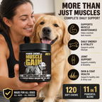 Muscle, Performance & Joint Support Soft Chews for Dogs – Chicken, Collagen & Flaxseed Oil for Mobility, Skin & Coat – 120 Count