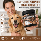 Hip & Joint Support Soft Chews for Dogs – Glucosamine HCl, MSM & Chondroitin for Mobility, Cartilage & Connective Tissue – 120 Count
