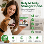 Glucosamine Joint Supplement Soft Chews for Dogs – MSM + Chondroitin for Cartilage, Mobility & Connective Tissue Support – 120 Count