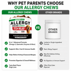 Seasonal Skin & Immune Support Chews for Dogs – Omega 3-6-9, Quercetin, Bromelain, Pumpkin & Turmeric – Beef Flavor, 100 Count