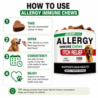 Seasonal Skin & Immune Support Chews for Dogs – Omega 3-6-9, Quercetin, Bromelain, Pumpkin & Turmeric – Beef Flavor, 100 Count